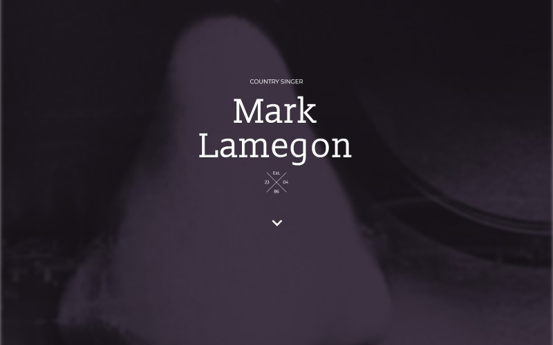 singer responsive landing page template original