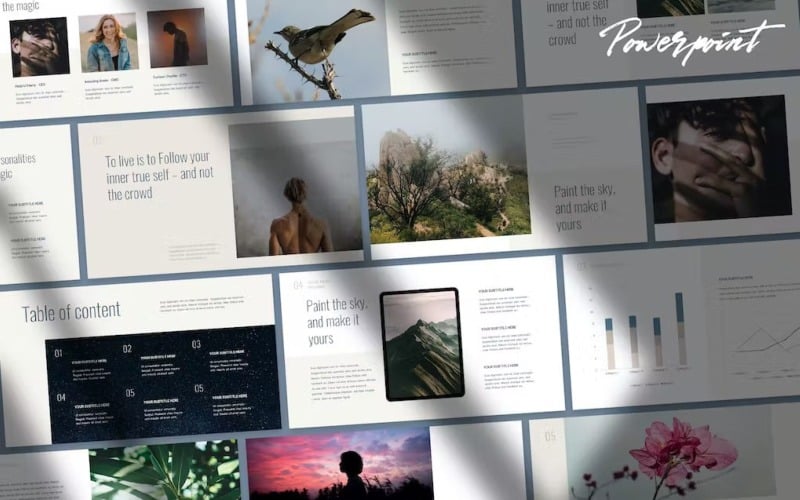 sola portolio and data powerpoint template original