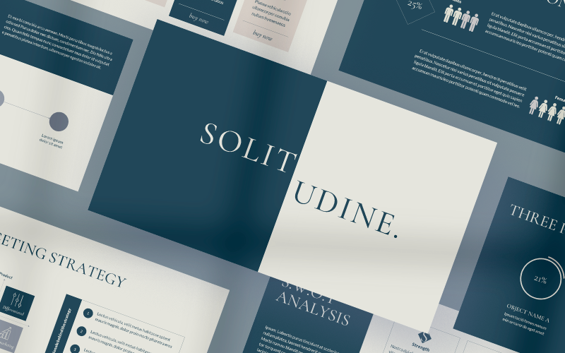 solitudine business plan powerpoint template original