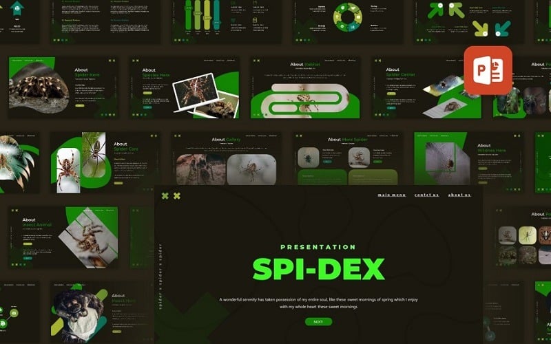 spidex multipurpose powerpoint presentation original