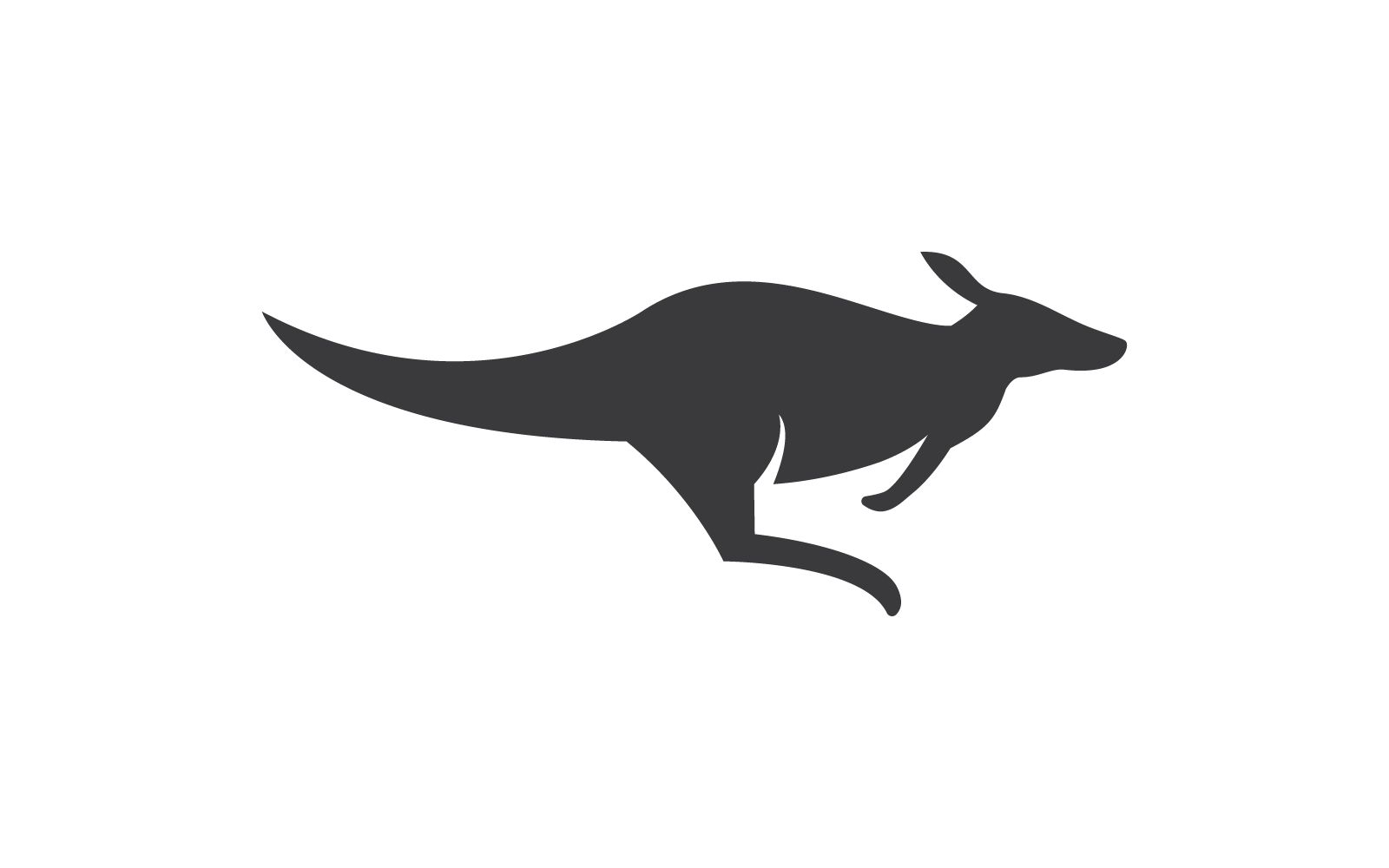 standing kangaroo illustration logo template vector design original