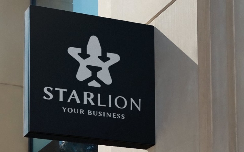 star lion head logo vector temp original