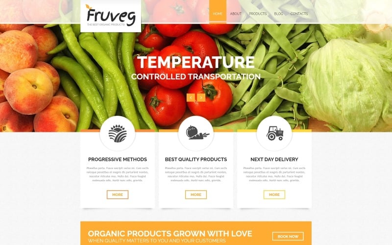 the best organic products joomla template original