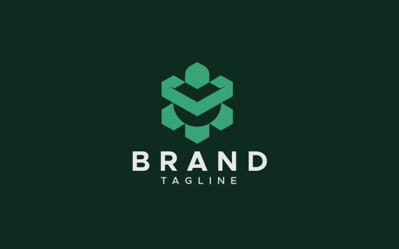 turtle hexagon logo design original