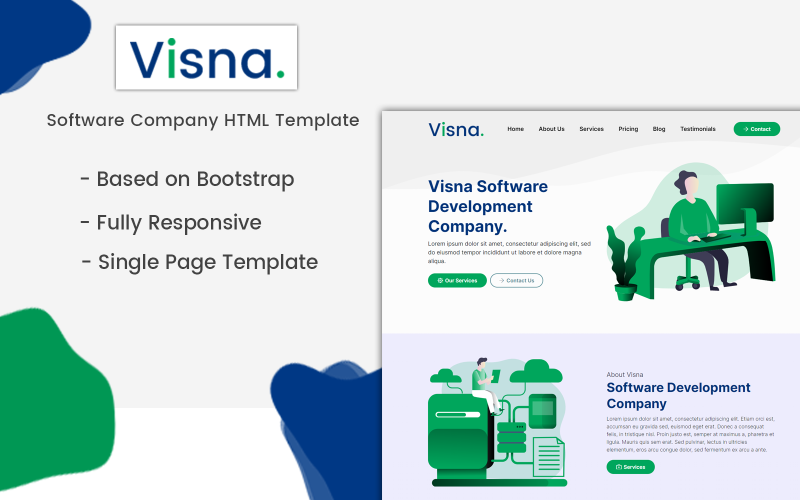 visna software company landing page template original