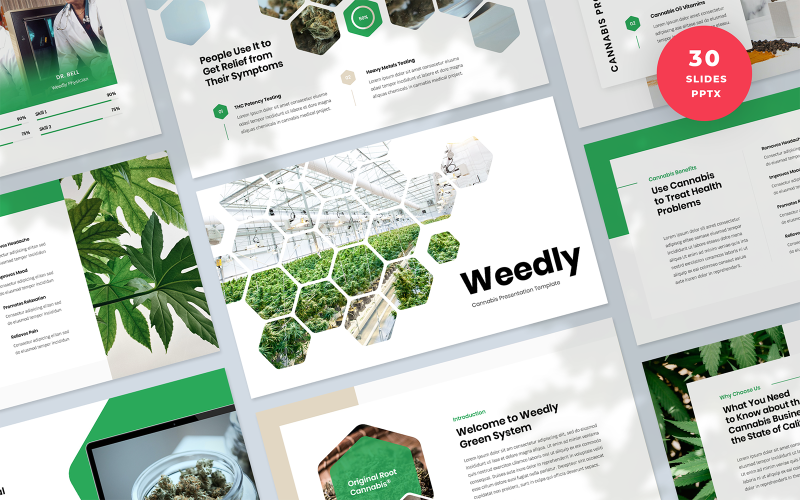 weedly cannabis presentation powerpoint template original